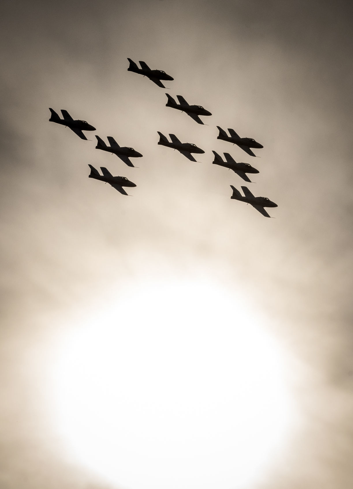 Snowbirds